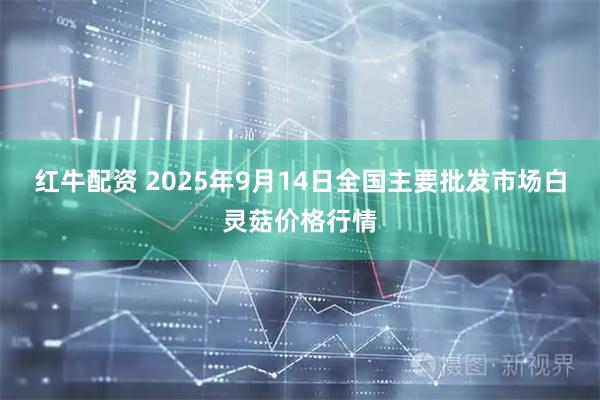 红牛配资 2025年9月14日全国主要批发市场白灵菇价格行情