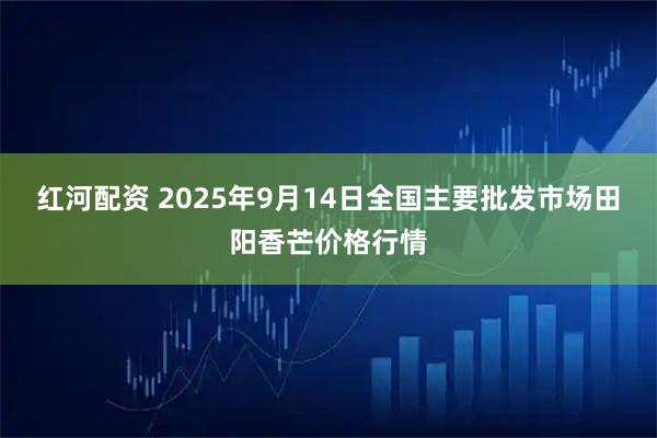 红河配资 2025年9月14日全国主要批发市场田阳香芒价格行情