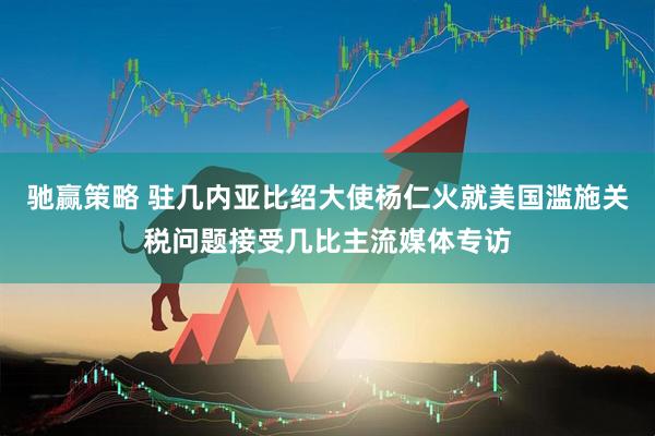 驰赢策略 驻几内亚比绍大使杨仁火就美国滥施关税问题接受几比主流媒体专访