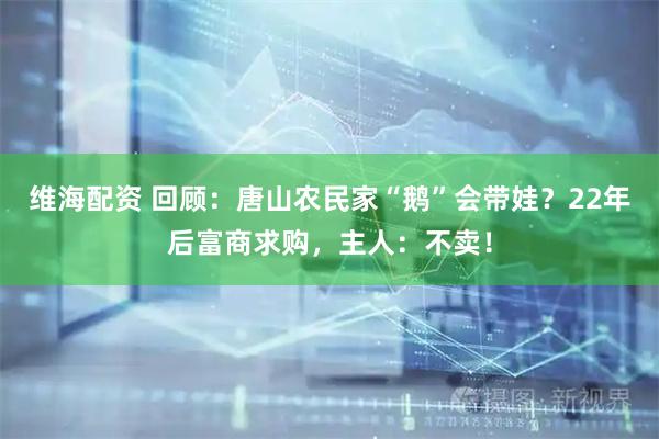 维海配资 回顾：唐山农民家“鹅”会带娃？22年后富商求购，主人：不卖！