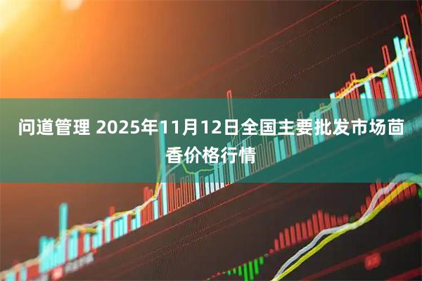 问道管理 2025年11月12日全国主要批发市场茴香价格行情